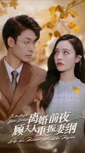 离婚前夜顾夫人重振妻纲