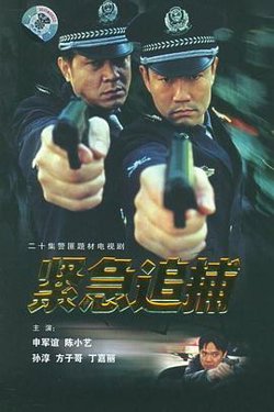 紧急追捕高清播放