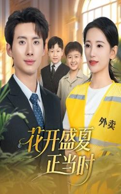 花开盛夏正当时高清播放