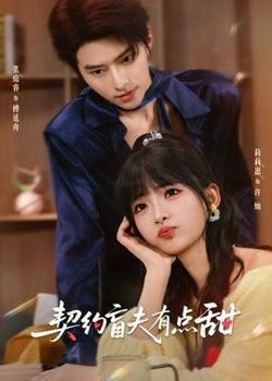 契约盲夫有点甜高清播放