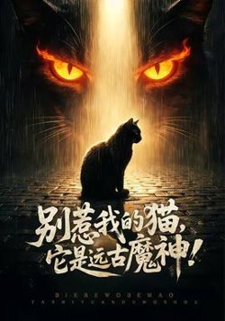 别惹我的猫，它是远古魔神！高清播放