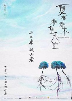 夏有乔木 雅望天堂在线观看
