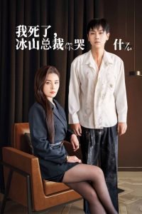 我死了冰山总裁你哭什么高清播放