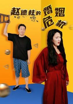 赵德柱的婚姻危机高清播放