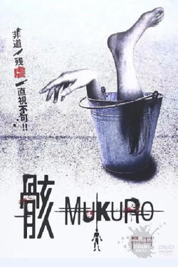 骸高清播放