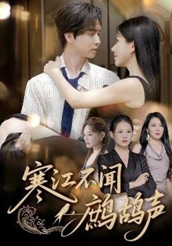 寒江不闻鹧鸪声高清播放