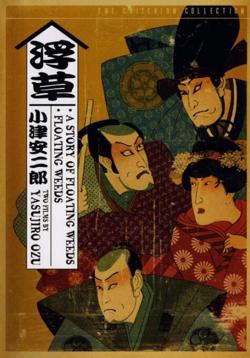 浮草在线观看