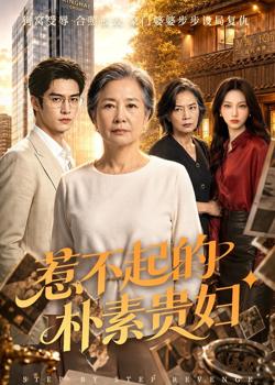 惹不起的朴素贵妇高清播放