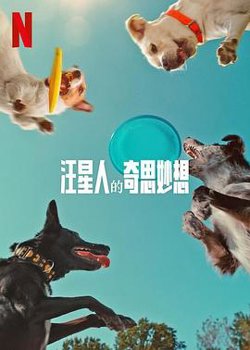汪星人的奇思妙想高清播放