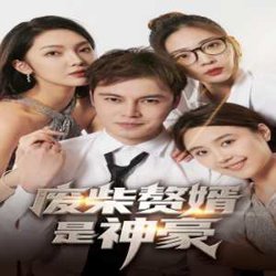 废柴赘婿是神豪高清播放