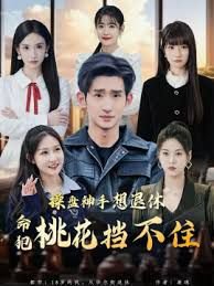 操盘神手想退休，命犯桃花挡不住高清播放