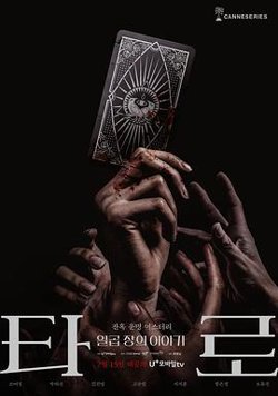 塔罗牌高清播放