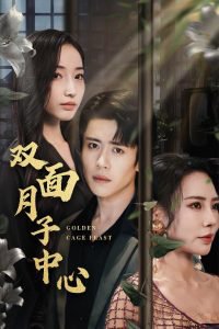 双面月子中心高清播放