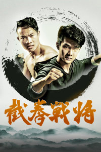 截拳战将高清播放