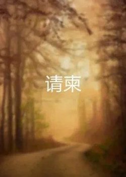 请柬高清播放