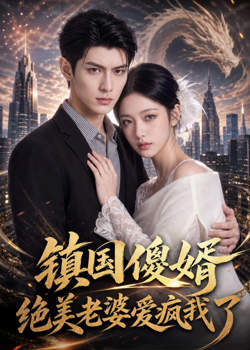 镇国傻婿:绝美老婆爱疯我了