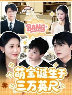 萌宝诞生于三万英尺高清播放