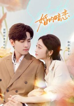 婚内暗恋高清播放