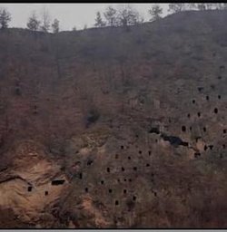 狩猎场·寄死窑高清播放