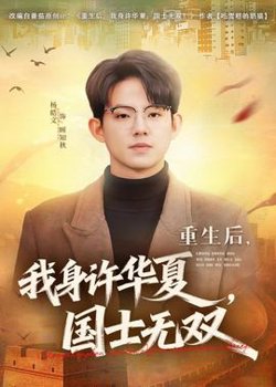 重生后，我身许华夏，国士无双高清播放