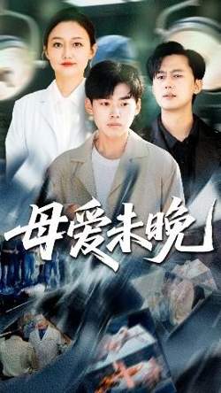 母爱未晚高清播放
