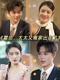 霍总，太太又离家出走了在线观看