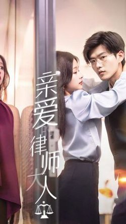 亲爱的律师大人在线观看