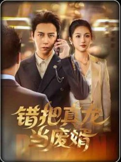 错把真龙当废婿在线观看