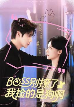 Boss别撩了，我捡的是狗呀高清播放