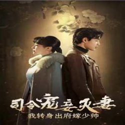司令宠妾灭妻，我转身出府嫁少帅在线观看