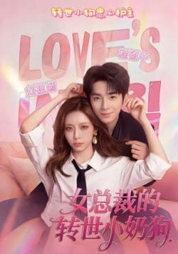 女总裁的转世小奶狗高清播放