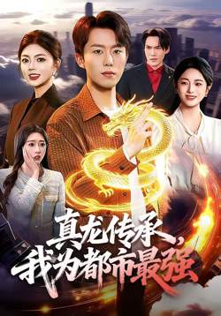 真龙传承，我为都市最强高清播放