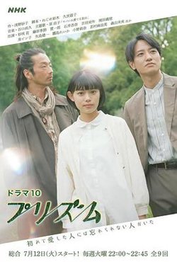 棱镜高清播放