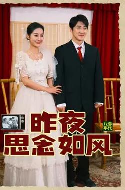 昨夜思念如风