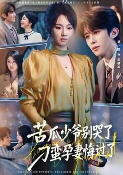 苦瓜少爷别哭了，刁蛮孕妻悔过了高清播放