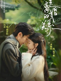 是离婚的关系高清播放