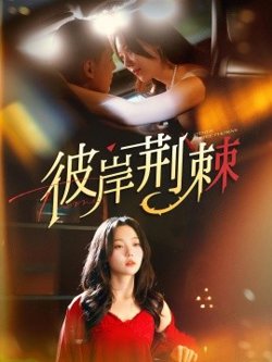 彼岸荆棘高清播放