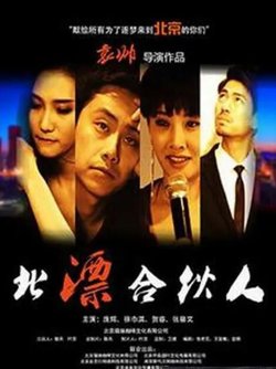 北漂合伙人在线观看