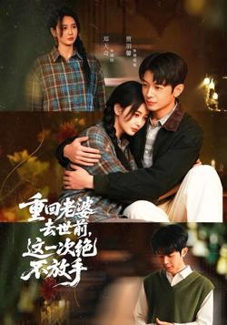 重回老婆去世前，这一次绝不放手在线观看
