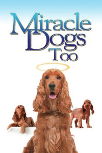 天降神犬2在线观看