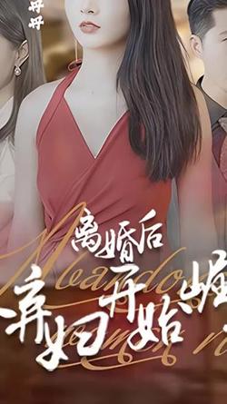 离婚后，从弃妇开始崛起在线观看