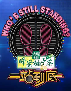 一站到底 2015高清播放