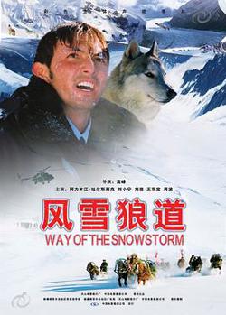 风雪狼道在线观看