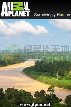 东方亚马逊在线观看