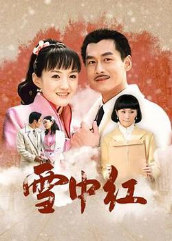 雪中红高清播放