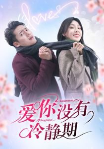 爱你没有冷静期高清播放