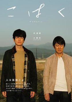 琥珀高清播放