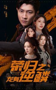 荣归之龙有逆鳞高清播放
