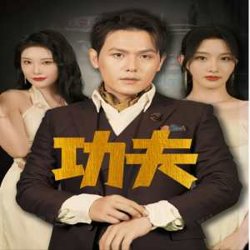 功夫短剧版在线观看