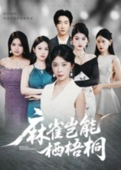 麻雀岂能栖梧桐高清播放